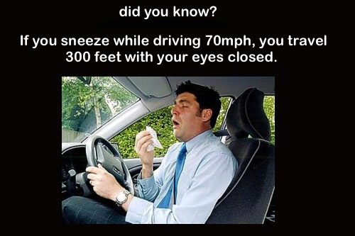 Sneezing While Driving